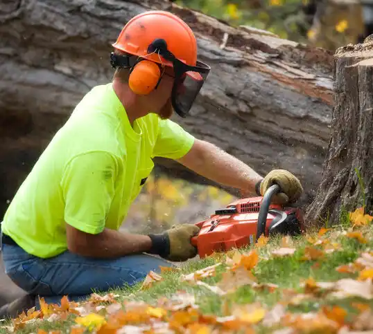 tree services Stonewall